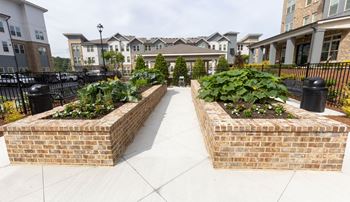 Community garden